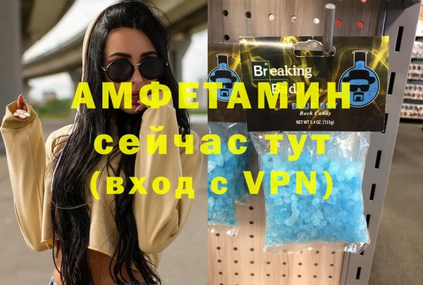 ГАЛЛЮЦИНОГЕННЫЕ ГРИБЫ Богданович