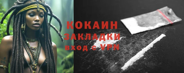 ГАЛЛЮЦИНОГЕННЫЕ ГРИБЫ Богданович