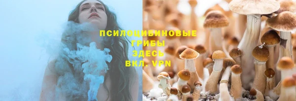 метадон Богородицк