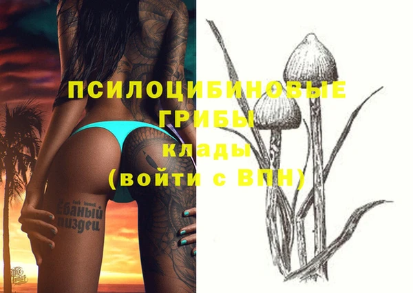 ГАЛЛЮЦИНОГЕННЫЕ ГРИБЫ Богданович