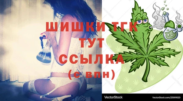 ГАЛЛЮЦИНОГЕННЫЕ ГРИБЫ Богданович