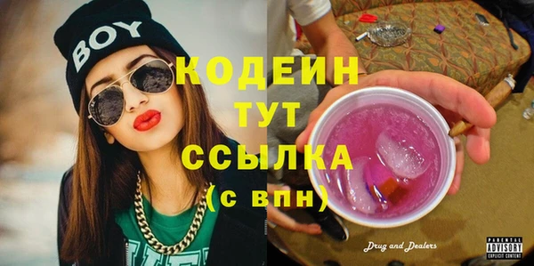 ГАЛЛЮЦИНОГЕННЫЕ ГРИБЫ Богданович