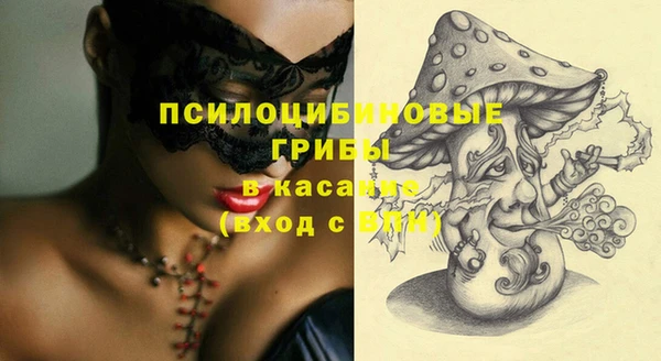 ГАЛЛЮЦИНОГЕННЫЕ ГРИБЫ Богданович