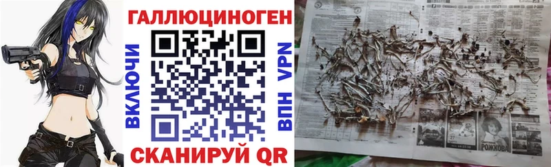 Купить закладки  Солнечногорск  Галлюциногенные грибы Cubensis 