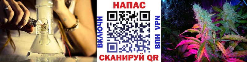 Купить закладки  Солнечногорск  Бошки Шишки семена 